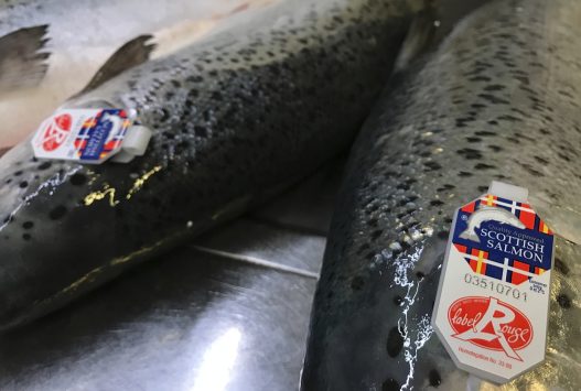 We have been using the Label Rouge salmon at the sansaro restaurant for over 10 years - because we find sustainability and quality more important than the cheapest price