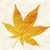goldene-herbst-momiji-522695684-768px 2