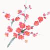 2023年の冬の懐石では、梅の花は来るべき時の前触れとして私たちに寄り添ってくれます。