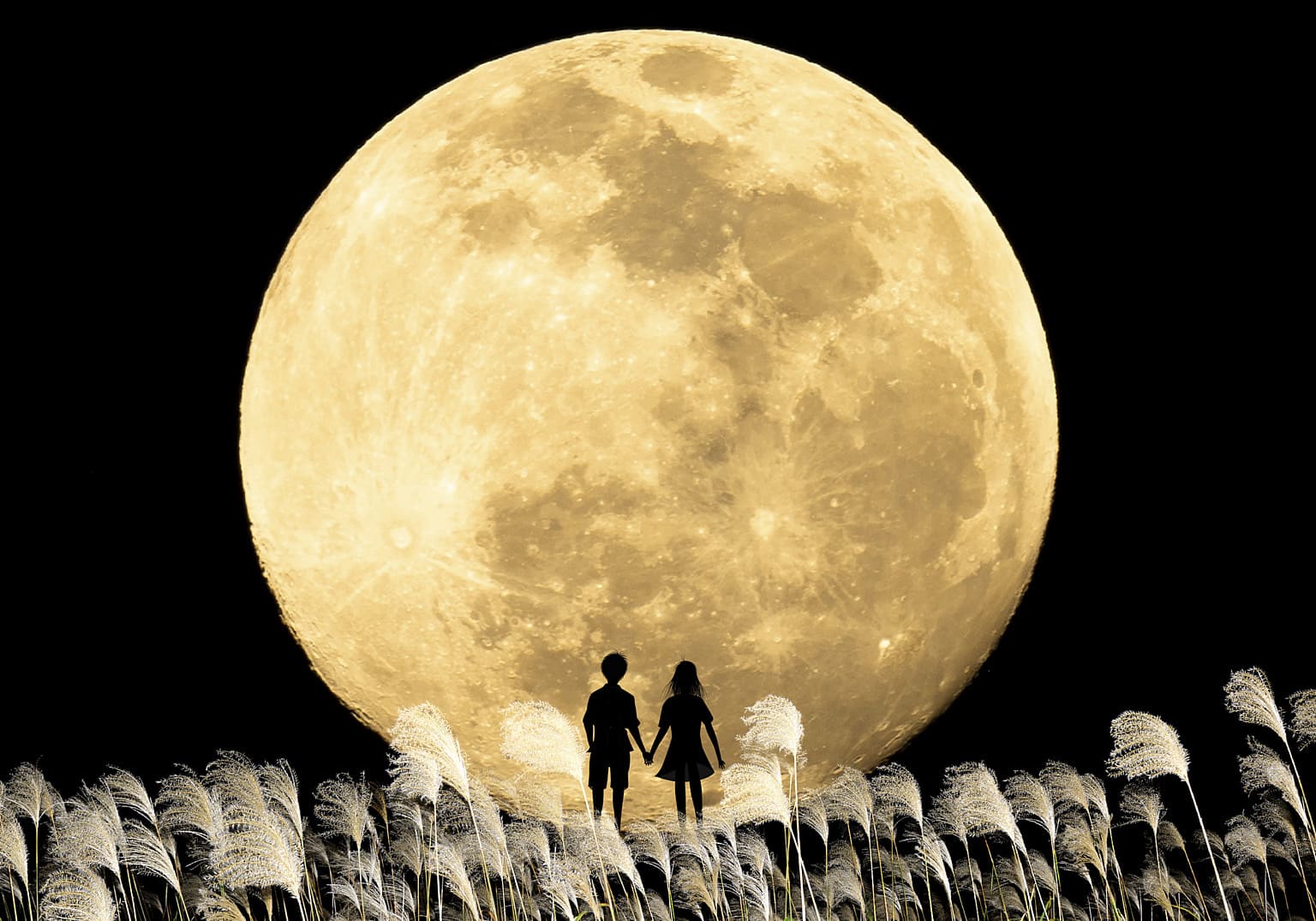 Valentinstag 2023 Der Mond ist schön, nicht wahr...? SUSHIYA sansaro