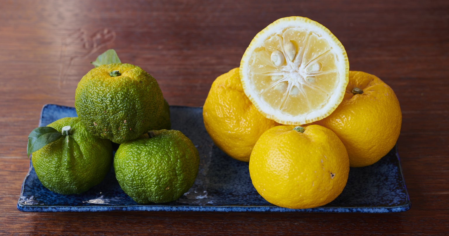 Yuzu - the aromatic Japanese citrus fruit